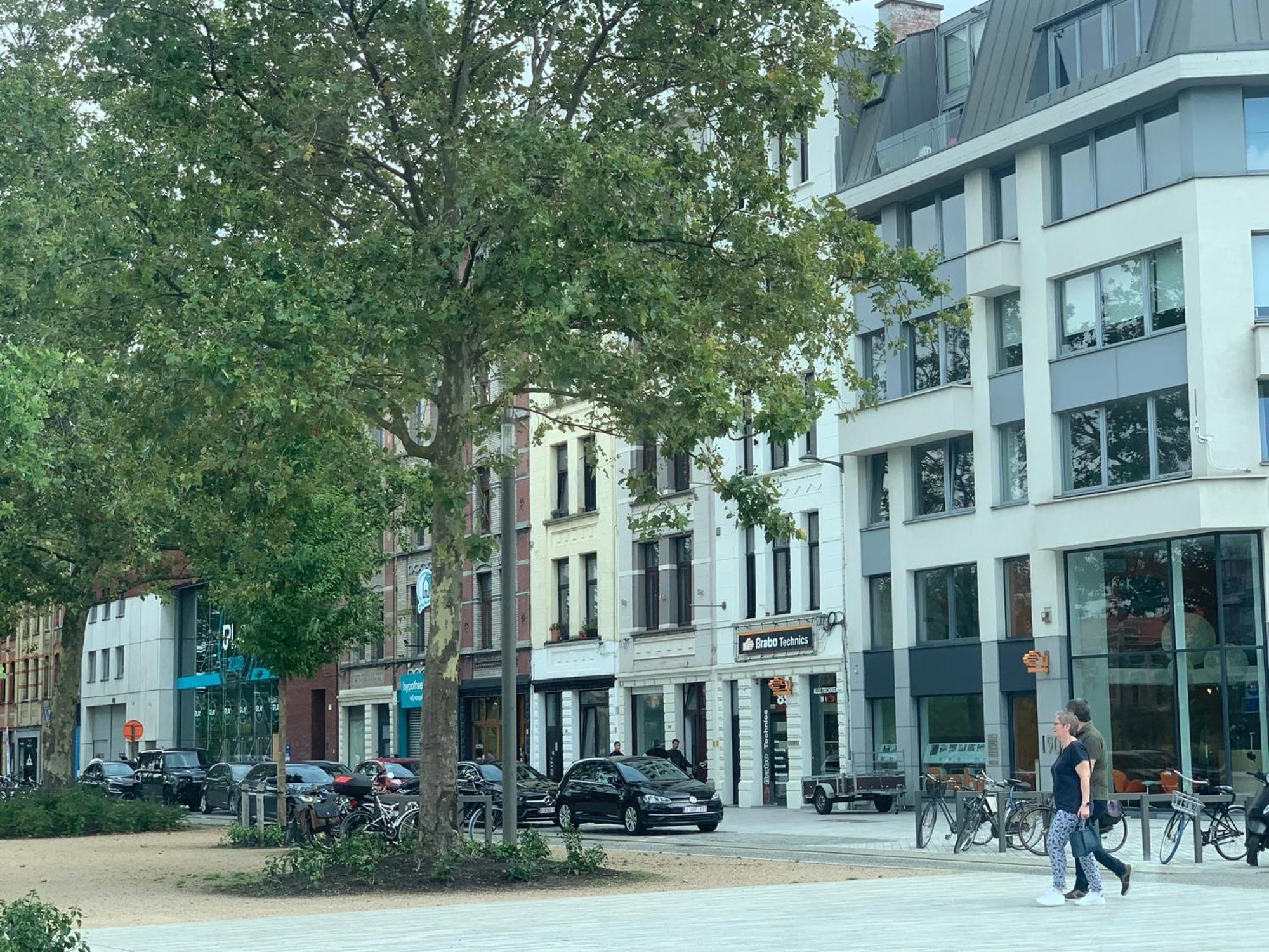 Royal South - Apartment Antwerp With Parkview Eksteriør bilde